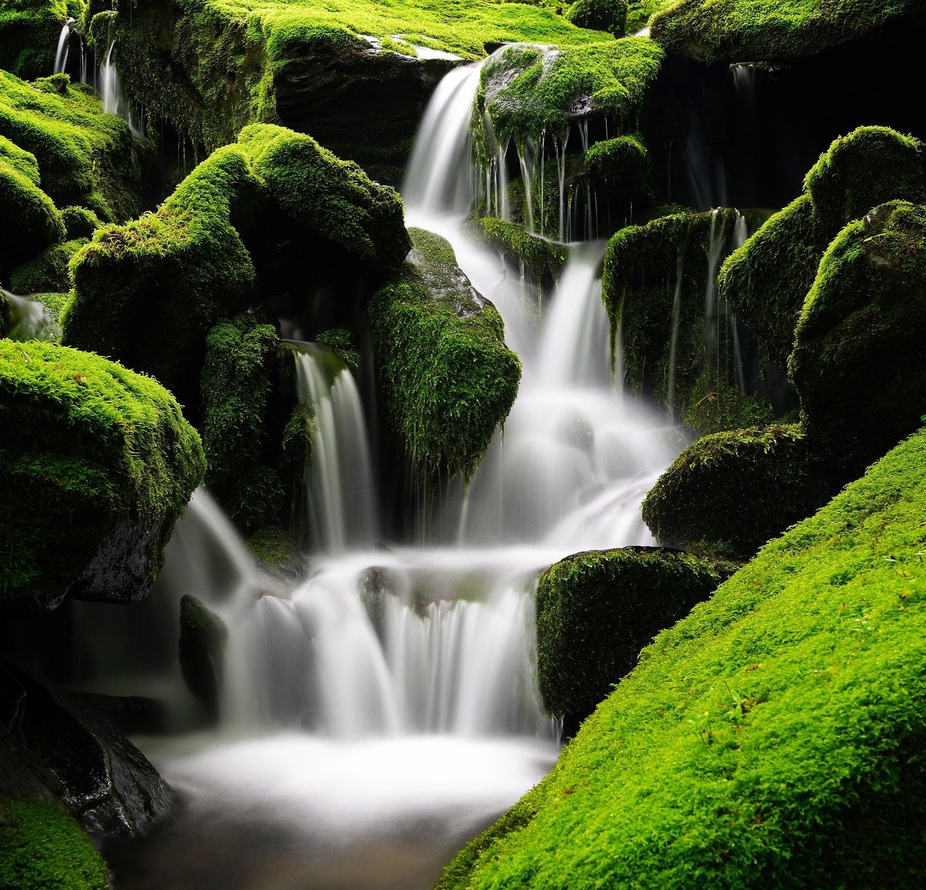 environnement